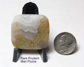 Rare Prudent Man Plume agate, prefinished slab, mirror shine, Utah stone. (26023)