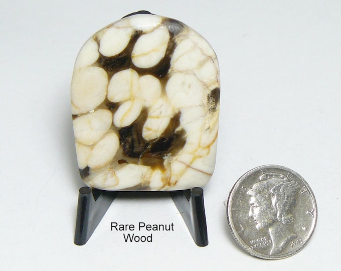 Peanut Wood cabochon,  all sides flat and smooth, mirror finish, designer shape, brown & white, lots of naturally sealed fractures (25180)