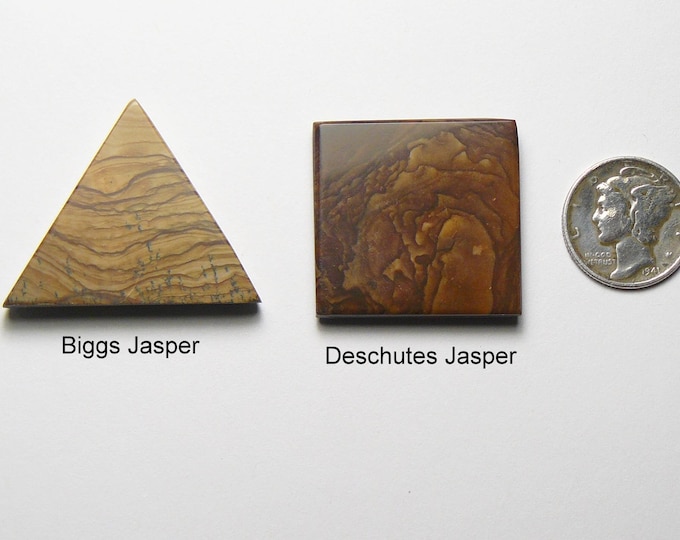 Biggs and Deschutes cabochons, flat sides, mirror finish, designer shape, brown colors, rare collectible  lapidary cabs (25160)