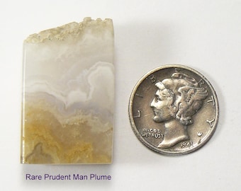 Rare Prudent Man Plume agate, prefinished slab, mirror shine, Utah stone. (26017))