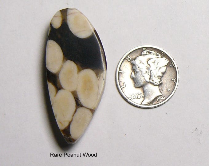 Peanut Wood Lapidary Slab: Smooth Mirror Finish Designer Shape, prefinished (25268)