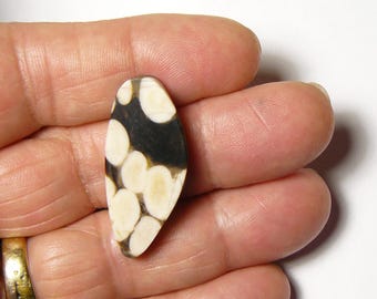 Peanut Wood Lapidary Slab: Smooth Mirror Finish Designer Shape, prefinished (25268)