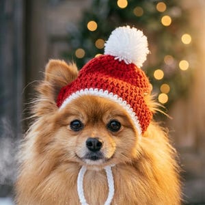 May include: A fluffy, light brown dog wearing a red and white crocheted hat with a white pom-pom. The hat has a white trim and white ties. The background is blurred with Christmas lights.