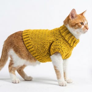 May include: A ginger and white cat wearing a mustard yellow crochet sweater. The sweater has a ribbed collar and a textured stitch pattern. The cat is standing on its four paws against a white background.