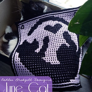 2022: A Year of Cats eBook of Interlocking Locked Filet Mesh / LFM and Overlay Mosaic Crochet Patterns and Charts image 9