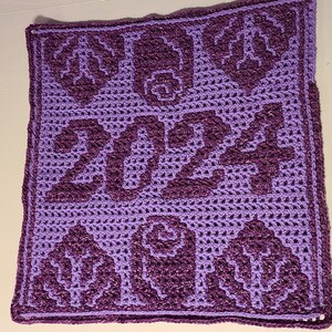 Ashlee's 2024 Block: Crochet Pattern & Charts for Interlocking Crochet and Overlay Mosaic Crochet. Large square for pillows, blankets, etc. image 7