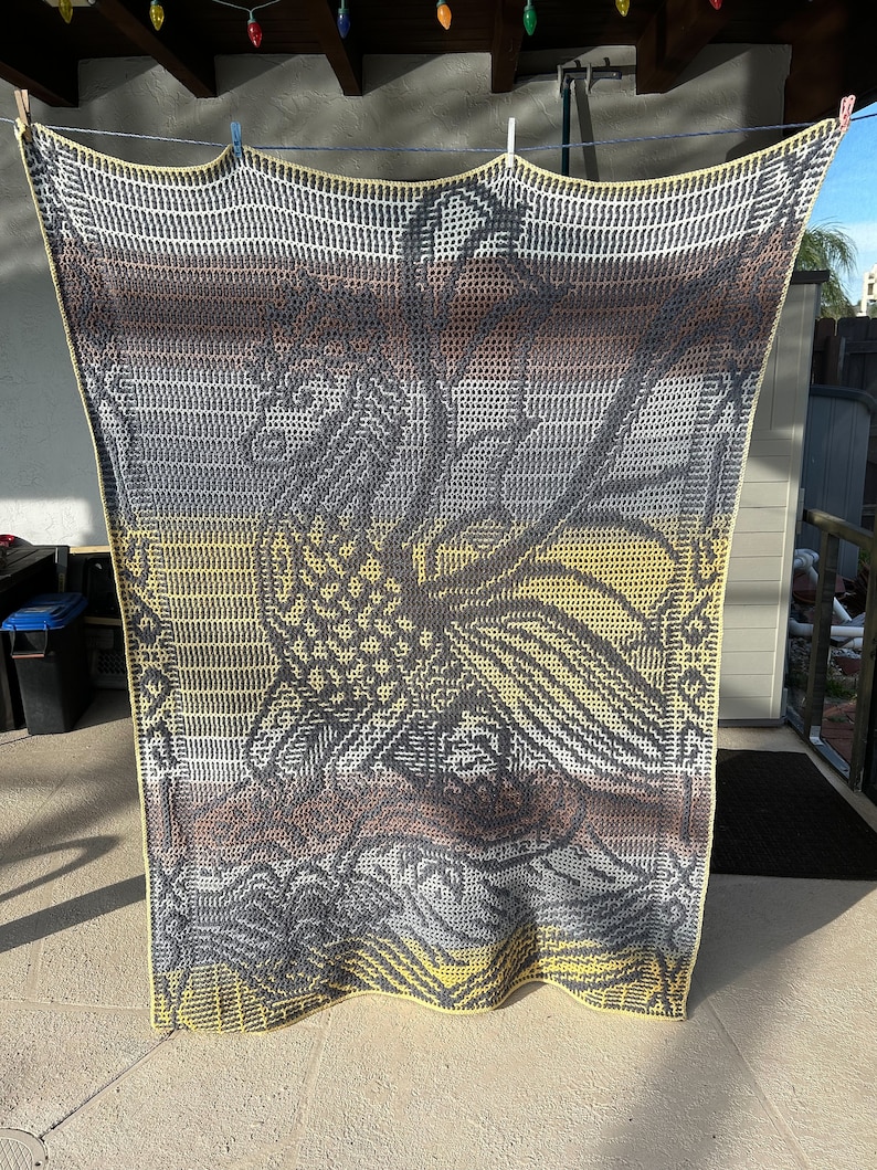 Crochet Pattern: Book Dragon Interlocking Locked Filet Mesh / LFM and Overlay Mosaic written instructions and charts image 6