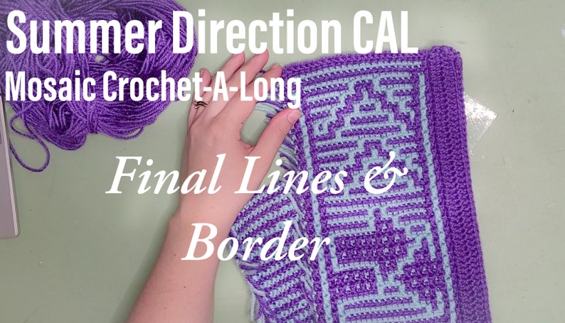 Summer Direction CAL Crochet-A-Long Interlocking Locked Filet Mesh / LFM and Overlay Mosaic written instructions and charts image 5