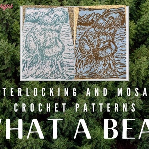 What A Bear. Blanket Crochet Patterns & Charts for Locked Filet Mesh Interlocking and Overlay Mosaic Crochet image 2
