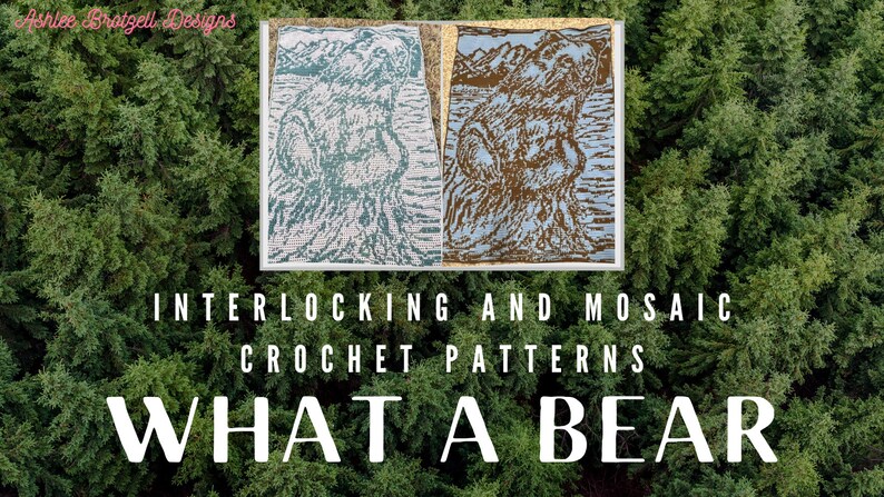 What A Bear. Blanket Crochet Patterns & Charts for Locked Filet Mesh Interlocking and Overlay Mosaic Crochet image 2