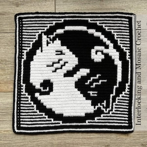 January Cat from 2022: A Year of Cats eBook of Interlocking (Locked Filet Mesh / LFM) and Overlay Mosaic Crochet Patterns