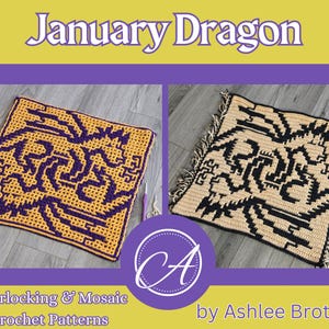 January Dragon. Crochet patterns & charts for large square in 2025: A Year of Dragons series. Interlocking and overlay mosaic crochet.
