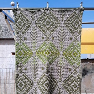 May include: A green and white crocheted blanket with a geometric pattern. The blanket is hanging on a clothesline.