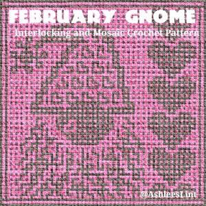 Crochet Pattern: February Gnome Interlocking Locked Filet Mesh / LFM and Overlay Mosaic written instructions and chart image 3