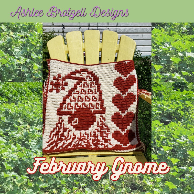Crochet Pattern: February Gnome Interlocking Locked Filet Mesh / LFM and Overlay Mosaic written instructions and chart image 1