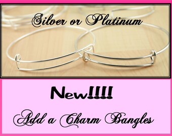 Charm Holder Bracelet Bangle-Ships from USA-Create Stack Bracelet, Add your own Charms.  Economy Silver, Gold, Platinum  Pick your quantity.