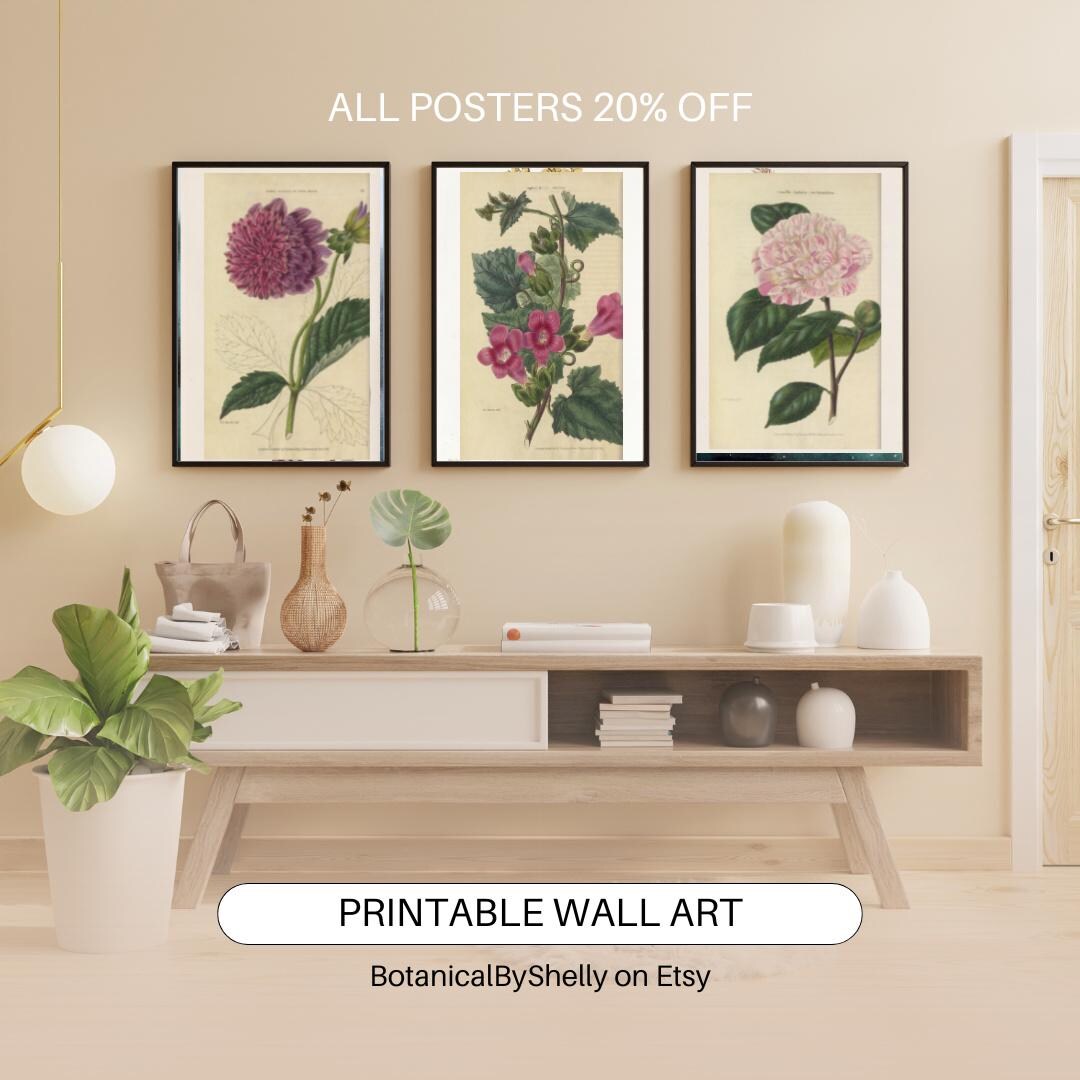 Vintage Botanical Wall Art Set, Printable Flower Prints, Nature Decor ...