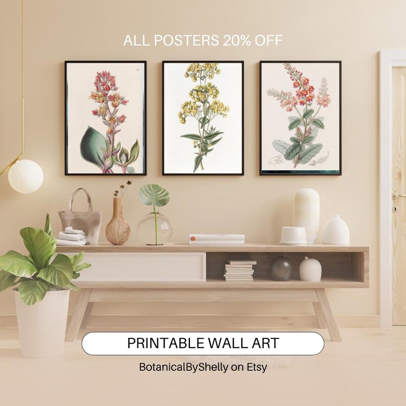 Vintage Botanical Wall Art Set Printable Flower Prints Nature Decor - Etsy