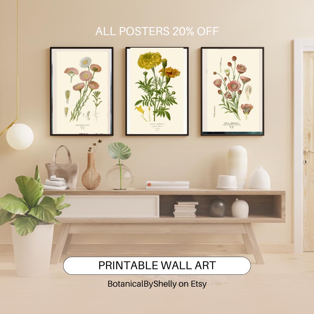 Vintage Botanical Wall Art Set Printable Flower Prints Nature Decor - Etsy