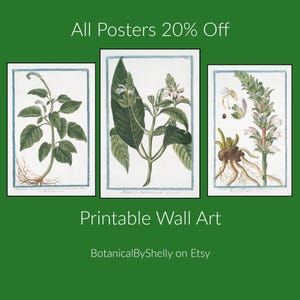 May include: Three rectangular botanical prints featuring detailed illustrations of plants with green leaves and flowers on white backgrounds. The text reads All Posters 20% Off, Printable Wall Art, and BotanicalByShelly on Etsy against a green background.