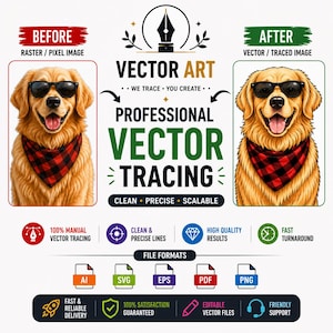 Servicio profesional de vectorización / Conversión personalizada de ráster a vector / ai svg eps pdf png / Redibujado manual de vectores / Vectorización de logotipos