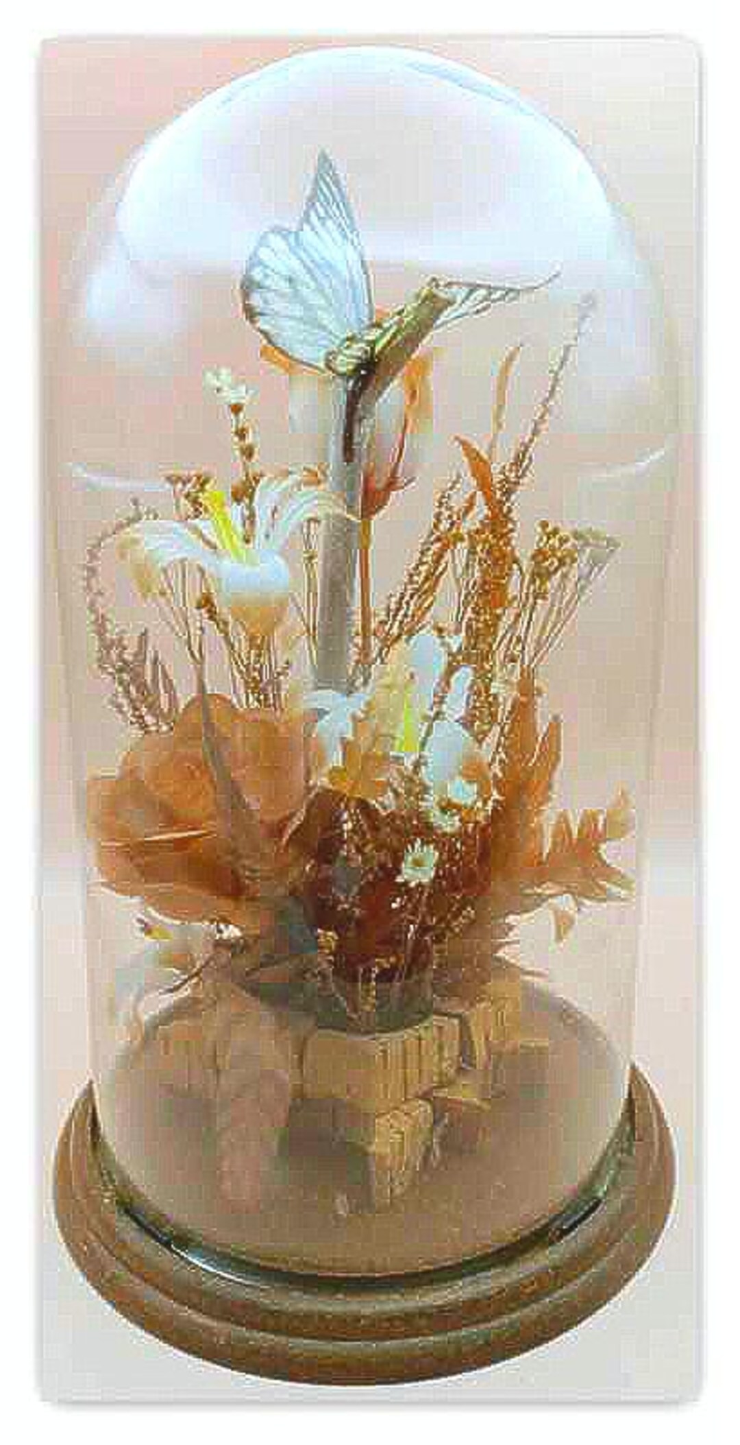 Glass Cloche w/Gold Butterflies