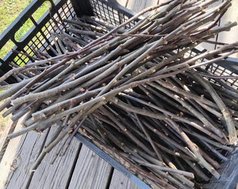 Bastoncini di legno di melo biologico per animali domestici, giocattoli da masticare (cincillà, coniglio, porcellino d'India, cane) 100 grammi