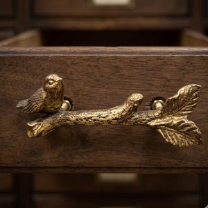 May include: A bronze-colored drawer pull featuring a small bird perched on a branch with leaves. The hardware is mounted on a dark brown wooden drawer, adding a touch of nature-inspired elegance to furniture.