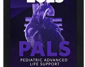 Manual do Provedor de PALS da AHA 2025 - Edição em PDF