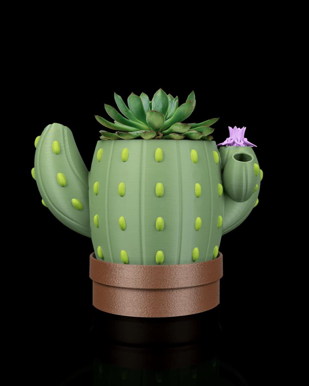 Kaktus symbol geschenk - Etsy.de