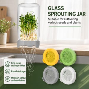 Op de afbeelding: Een heldere glazen kiempot met een grijze basis, gevuld met ontkiemende zaden. De pot is voorzien van het opschrift "GLASS SPROUTING JAR" en "Suitable for cultivating various seeds and plants." Vier gekleurde deksels worden getoond: geel, groen, grijs en wit.