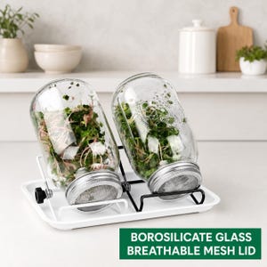 Op de afbeelding: Twee glazen potten gevuld met spruiten, op een witte tray met een zwarte metalen standaard. De potten hebben zilveren deksels met gaasschermen. De tekst op de afbeelding luidt: BOROSILICATE GLASS, BREATHABLE MESH LID.