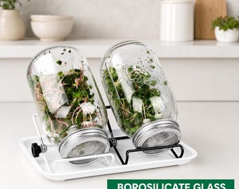 Kit de cultivo de microvegetales fácil de usar: solo agrega agua y semillas para obtener brotes frescos de alfalfa, brócoli o frijol mungo.