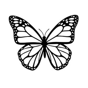 Op de afbeelding: Een zwart-wit illustratie van een vlinder met gedetailleerde vleugelpatronen. De vleugels van de vlinder zijn volledig uitgespreid en tonen ingewikkelde aderstructuren en een symmetrisch ontwerp. De afbeelding is een heldere, grafische weergave van het insect.