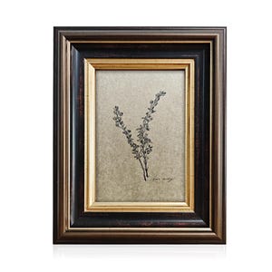Op de afbeelding: Een ingelijste botanische prent met een takje tijm. De lijst heeft een donkerbruine buitenrand, een gouden binnenrand en een lichtbruine achtergrond. De prent is een zwart-wit tekening op een beige achtergrond.