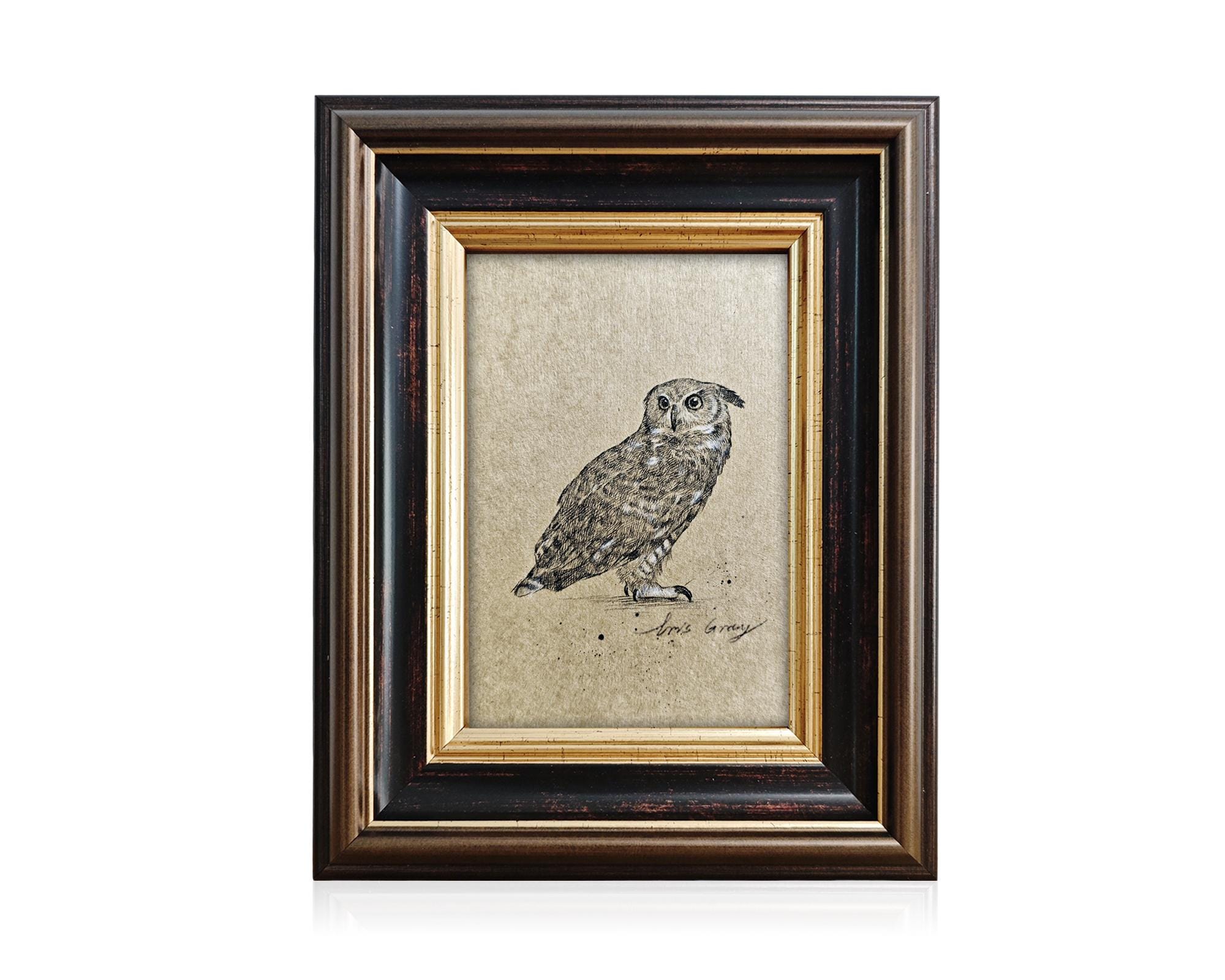Vintage Owl Pencil Sketch | Hand Drawn Wildlife Art | Dark Academia Study Wall Decor