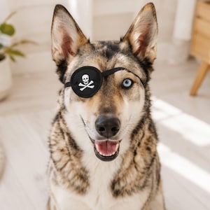 Black dog eye patch with Skull and Bones, adjustable handmade pet eye cover for small, medium and large dogs