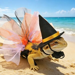 May include: A bearded dragon on a sandy beach, wearing a black witch hat with a gold band, a black bow tie, and a tutu with orange, black, and pink tulle. The lizard has yellow and black markings.