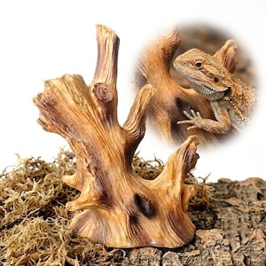 Resin Tree Trunk Branch for Reptile Enclosure Climbing Habitat Decor Splendid Vivarium Ornamen