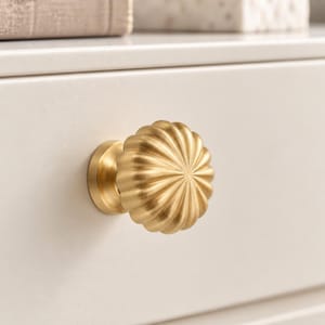 May include: A round, brushed gold cabinet knob featuring a radial, fluted design with multiple vertical ridges extending from the centre to the outer edge. The knob is mounted on a smooth, off-white surface, showcasing a metallic finish.