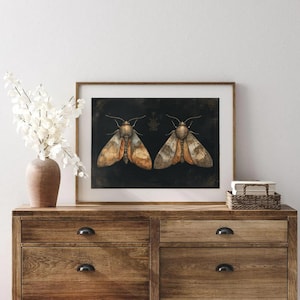 Puede incluir: Impresión artística enmarcada con dos ilustraciones detalladas de polillas con alas marrones, naranjas y grises sobre un fondo negro. La obra de arte se exhibe en una cómoda de madera con un jarrón de flores blancas.