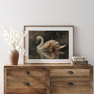 Può includere: Stampa artistica incorniciata raffigurante un cigno che galleggia sull'acqua. L'opera d'arte ha un'estetica vintage con toni tenui di marrone, beige e bianco. Il riflesso del cigno è visibile. La stampa è su una cassettiera in legno.