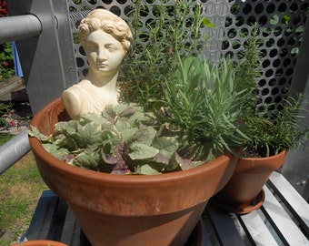 Celluloid Head for the Garden