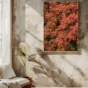Op de afbeelding: Een rechthoekige wandkunstprint met een dichte tros felrode en oranje Japanse esdoornbladeren. Het kunstwerk is gevat in een dunne, lichtgekleurde houten lijst en wordt getoond op een gestructureerde, lichtgrijze betonnen muur.