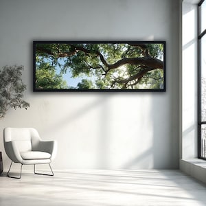 Könnte beinhalten: Ein panoramisches, rechteckiges Wandbild mit einer Froschperspektive auf dicke, dunkelbraune Baumäste, die sich über einen hellblauen Himmel erstrecken, mit grünen Blättern und Sonnenlicht, das durch das Blätterdach scheint, in einem schwarzen Rahmen.