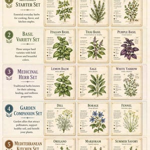 May include: An illustrated guide to herbs, featuring 15 printable guides and 5 complete sets. The image showcases various herbs like cilantro, rosemary, thyme, basil, and oregano, with detailed botanical illustrations and descriptions. The collection is designed for home and garden use.