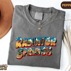 K&ouml;nnte beinhalten: Ein anthrazitfarbenes T-Shirt mit Rundhalsausschnitt und dem Schriftzug Radiator Springs in einer kr&auml;ftigen Blockschrift. Die Buchstaben sind mit farbigen W&uuml;stenlandschaften gef&uuml;llt, die Felsformationen, Geb&auml;ude und einen blauen Himmel zeigen.
