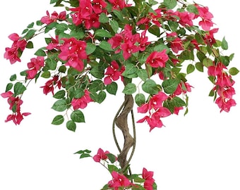 1,50 Meter langer Bougainvilleabaum | Unechte Blühende Topfpflanze