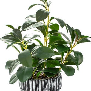 Kleine Fake Sukkulente | Rustikaler Blumentopf Faux Greenery | Badezimmer Schlafzimmer Küche Dekor
