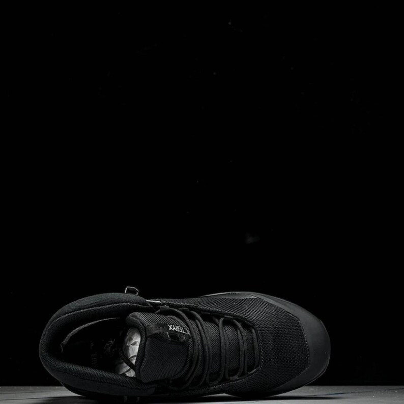 May include: Black hiking boot with a mesh upper and a lace-up closure. The boot has a padded collar and a durable rubber sole. The boot is designed for outdoor activities and features the brand name "TERREX".